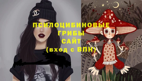 mdpv Лабытнанги