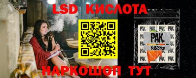 спиды Дубна