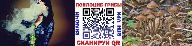 mega ссылки  как найти закладки  Арзамас  Галлюциногенные грибы Magic Shrooms 
